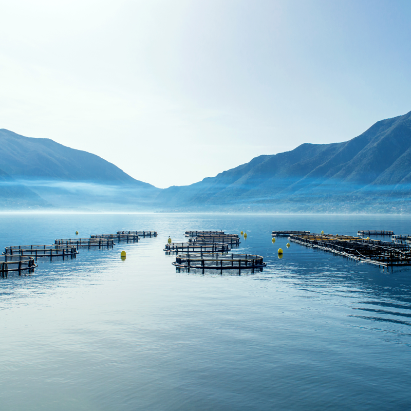 Fjordutsikt
